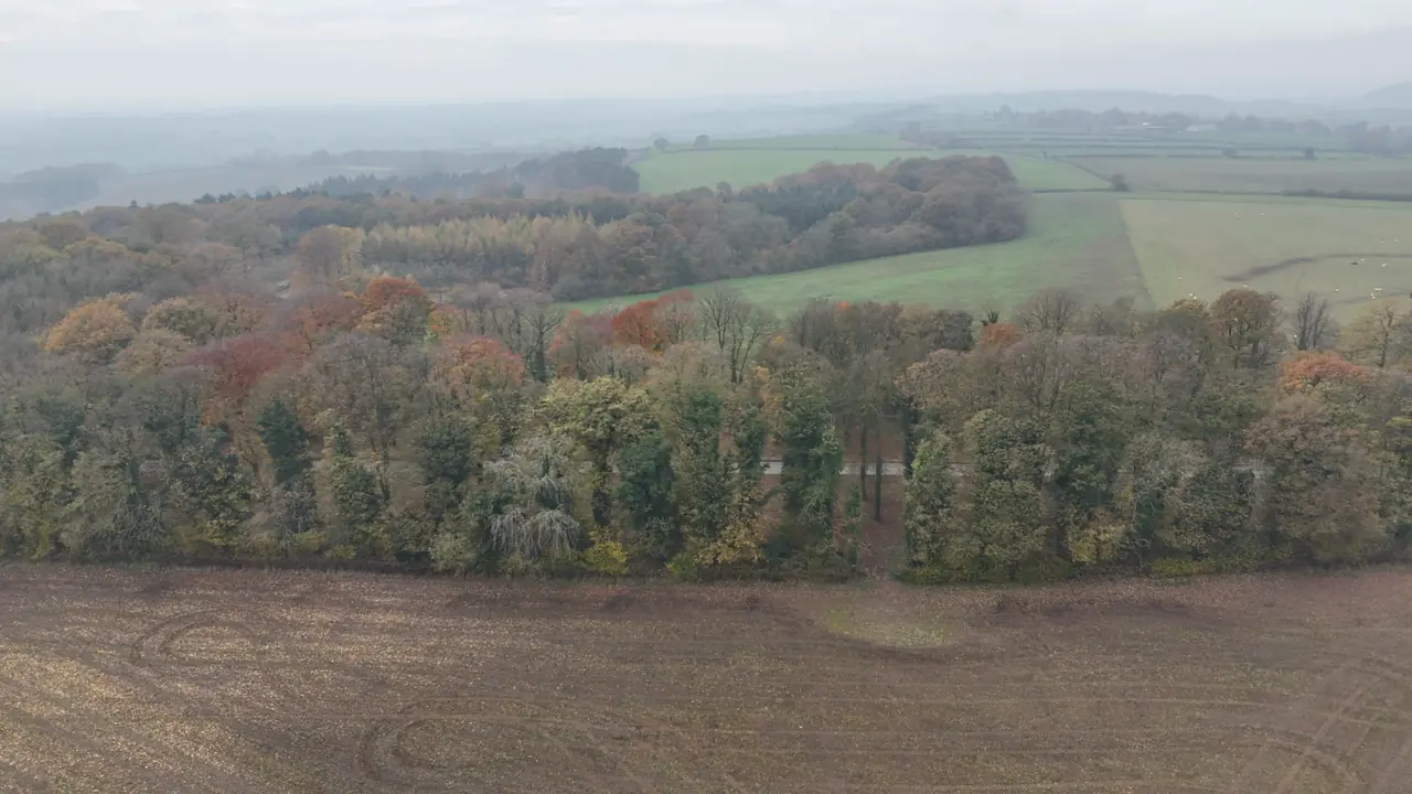 Autumn woodland and farm fields from above